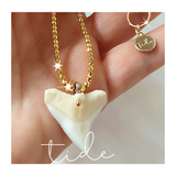 Shark Tooth Protection Necklace